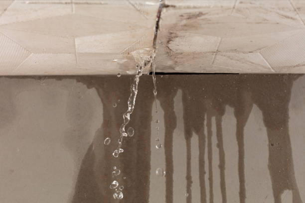 Professional Structural Drying technician working in Casco, MI